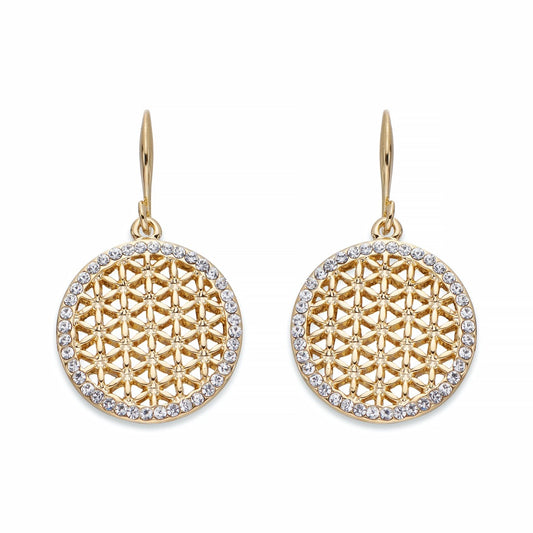 Crystal and Gold Earrings | ${Vendor}