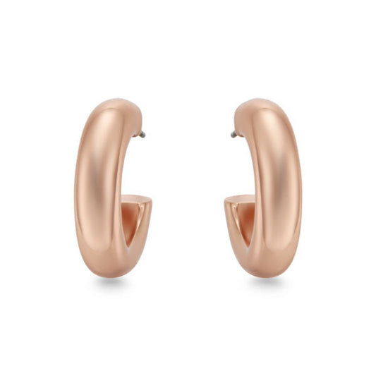 Rose Gold Earrings | ${Vendor}